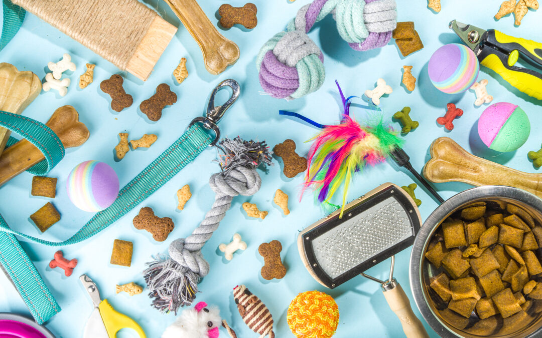 Pet Boarding Business for Sale